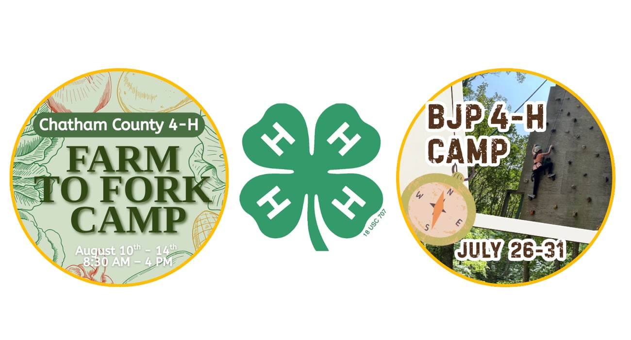 4-H Summer Camps 