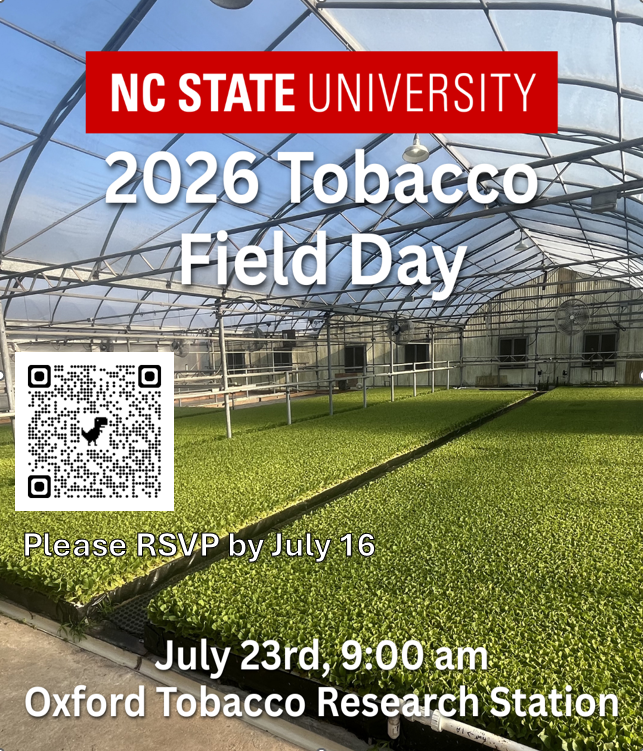 tobacco in greenhouse