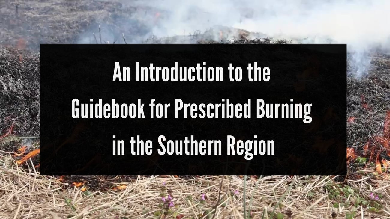 Video thumbnail featuring bold white text centered inside a translucent black rectangular box over a background image of a controlled field burn. The text reads, "An Introduction to the Guidebook for Prescribed Burning in the Southern Region." In the background, low flames burn through dry grass and brush, sending white smoke rising into the air.