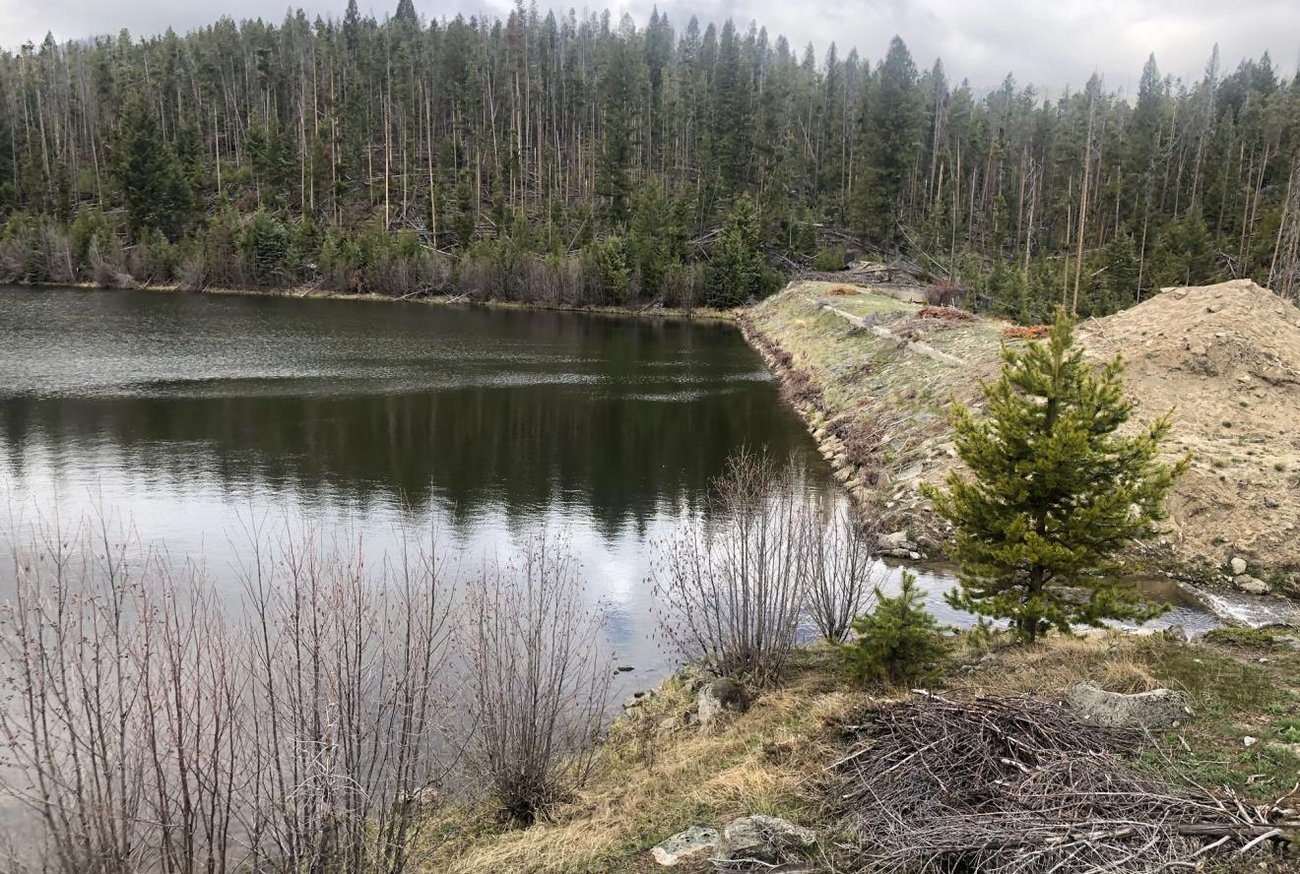 A calm reservoir in a forest setting with a earthen dam embankment on the right edge.