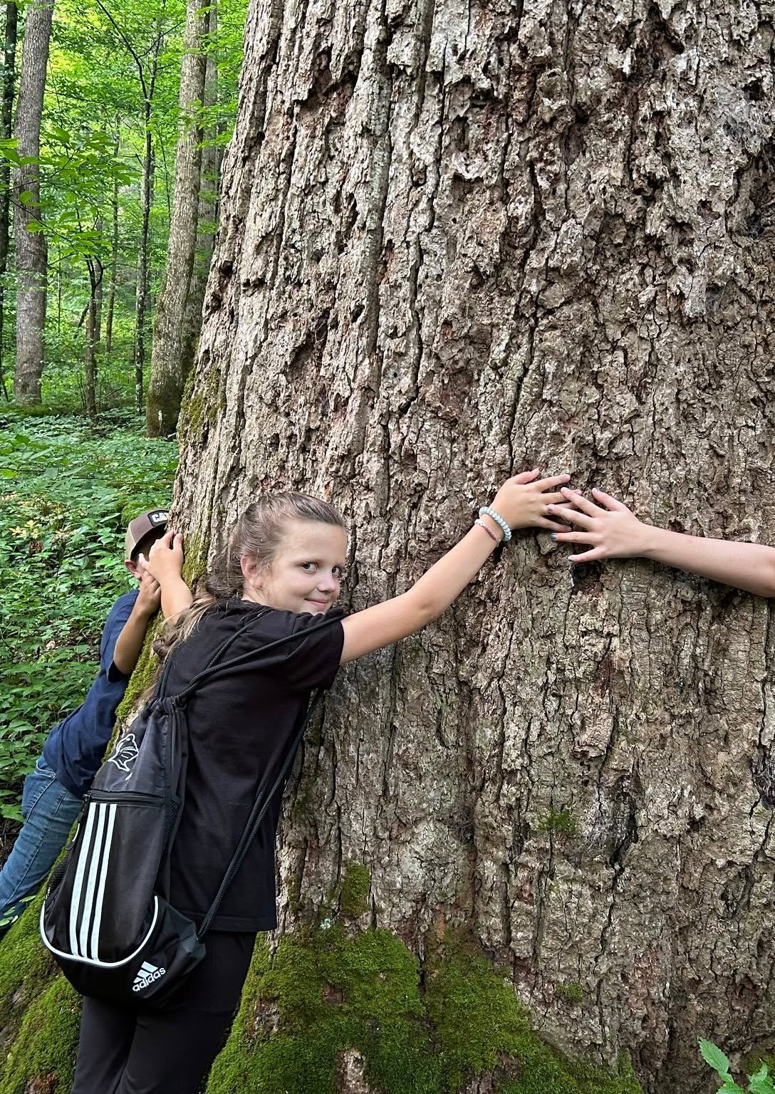 4-H member with her arms reaching around a big tree at Joyce Kilmer Memorial Forest