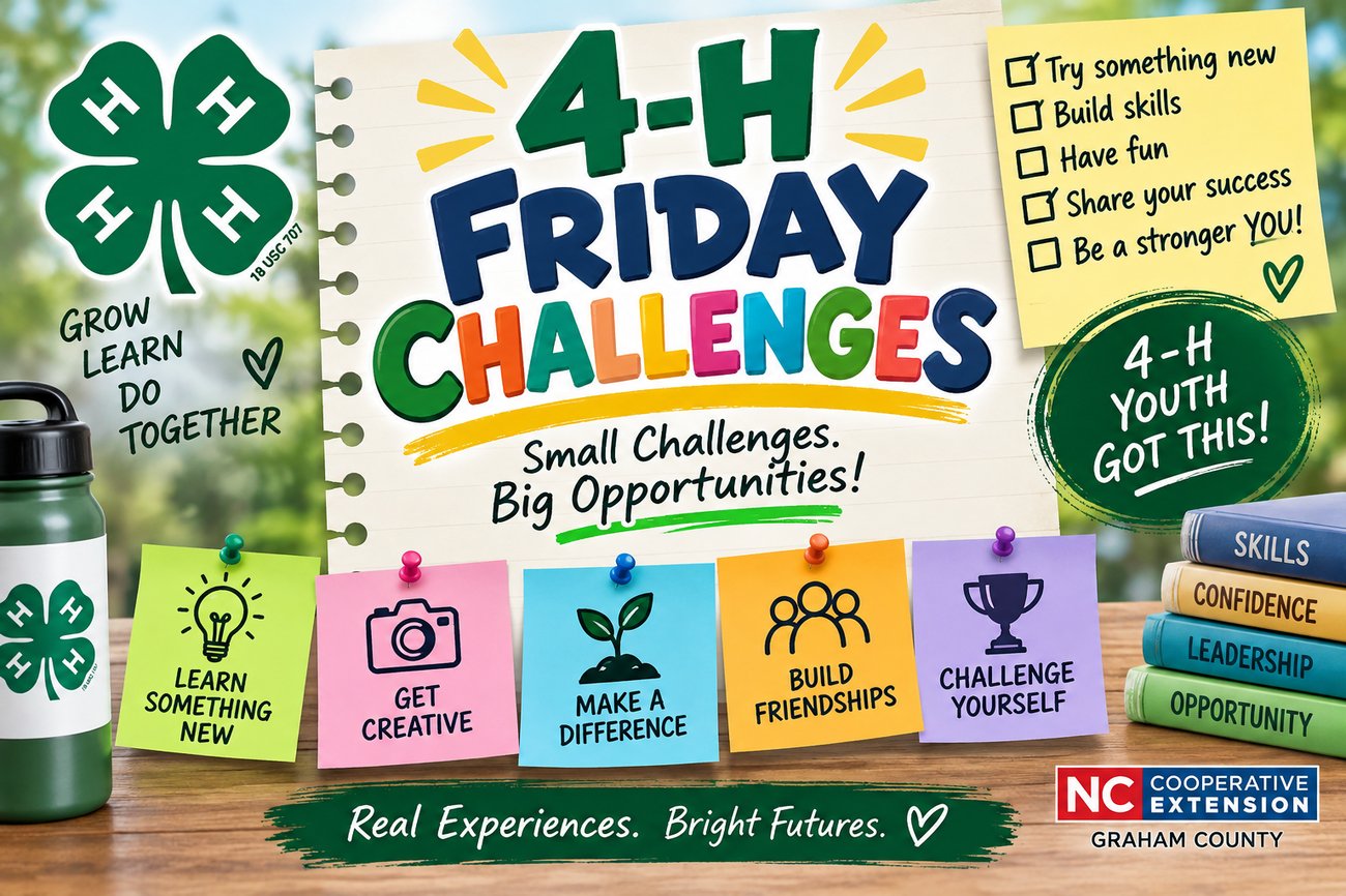 4-H Friday Challenge flyer