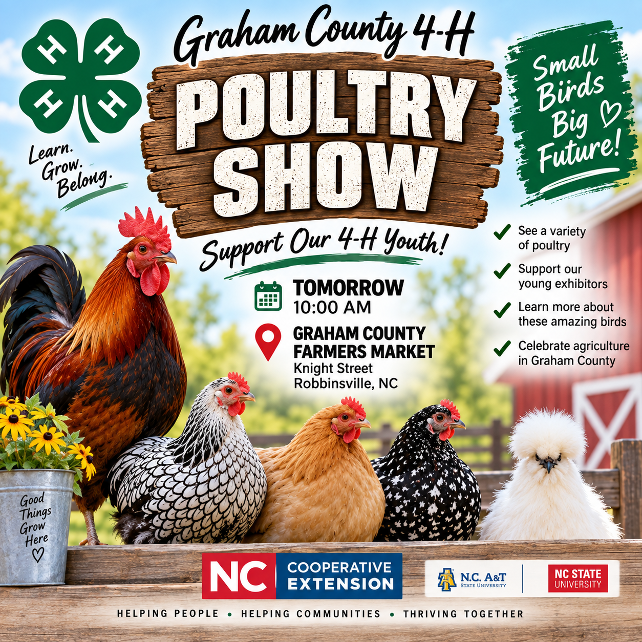 poultry show flyer with chickens