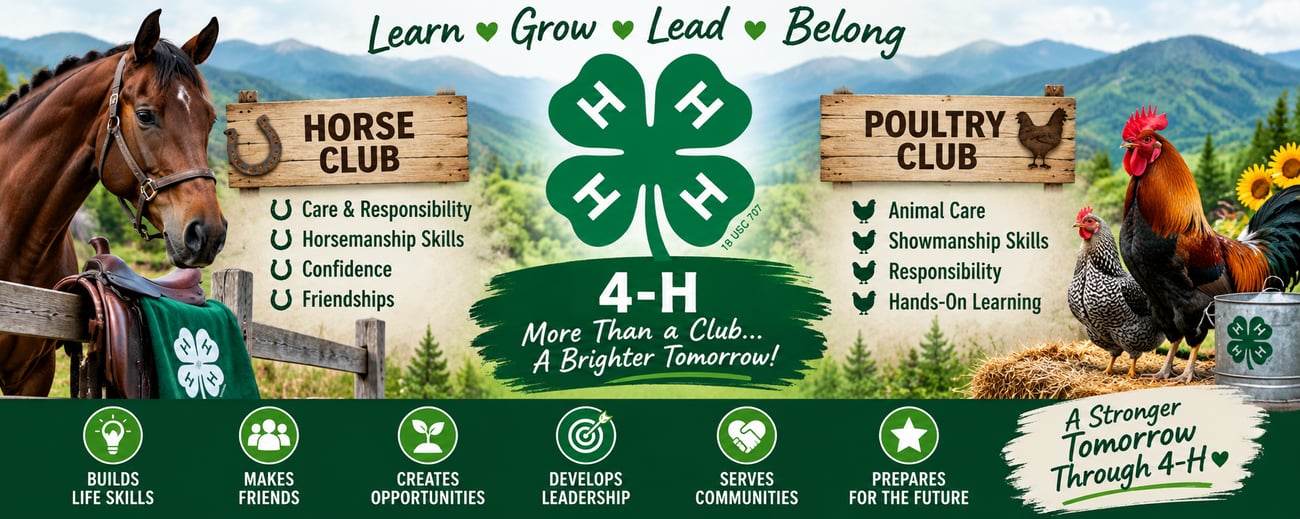 4-H Banner that showcases horse club and poultry club