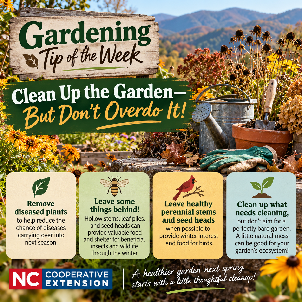 Garden cleanup tips graphic with flowers, tools, mountain landscape, and seasonal guidance
