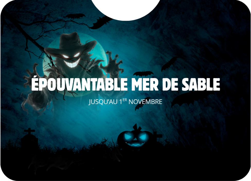 Newsletter - bulle (5).png