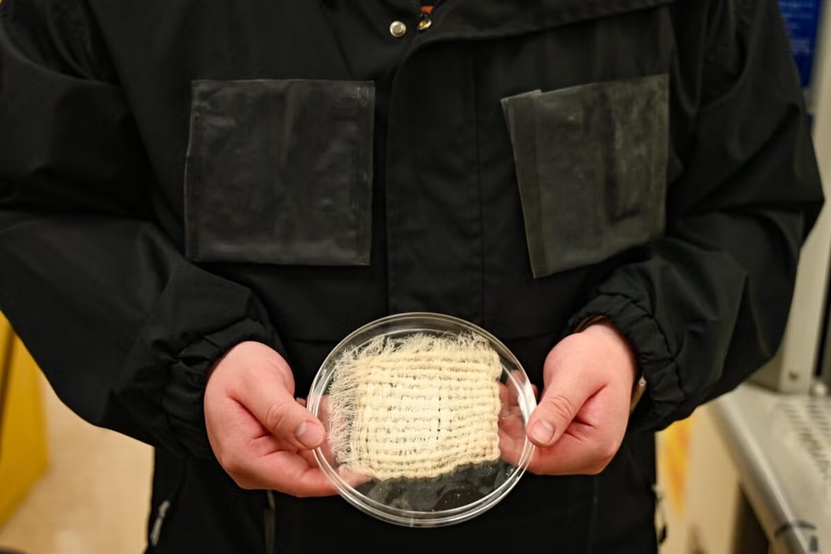 Image showcasing SIUE researchers out in the field and lab doing research.