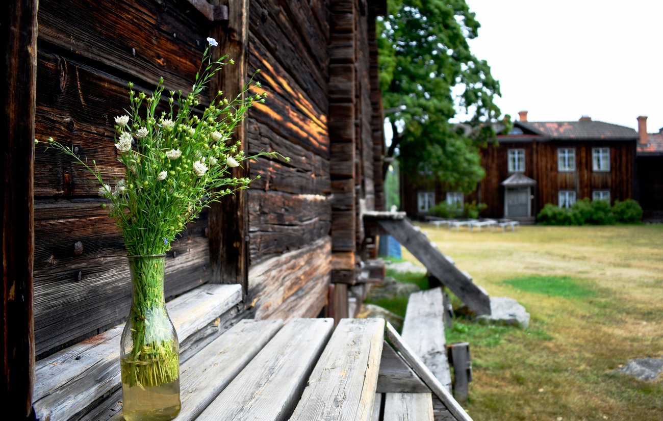 Rengsjö fäbodvall, foto: Erika Markusson, Mostphotos