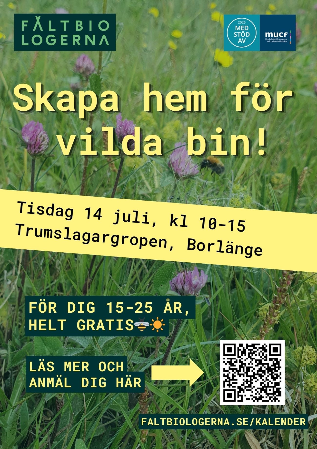 Fältbiologernas affisch till aktiviteten "Skapa hem för vilda bin!"