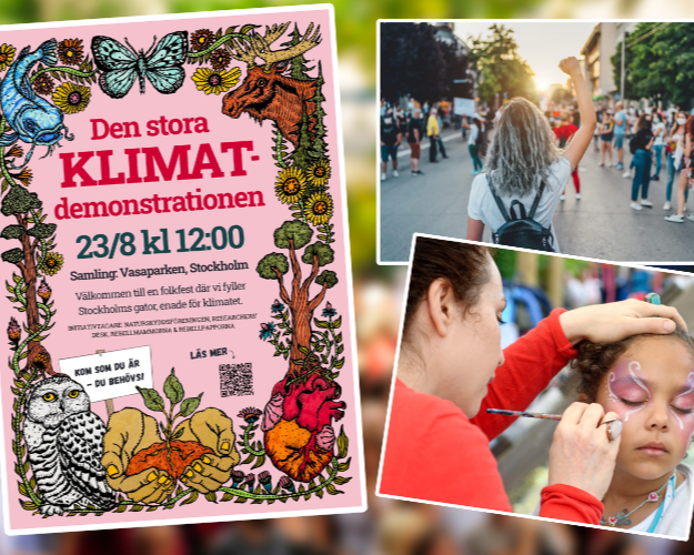 Affisch för klimatdemonstrationen och bilder på demonstrant och ansiktsmålning Affisch för klimatdemonstrationen och bilder på demonstrant och ansiktsmålning