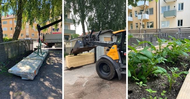 Virkesleverans lämnas av kranbil/ Jord läggs i med en skopa /Potatisplantor i odlingslåda