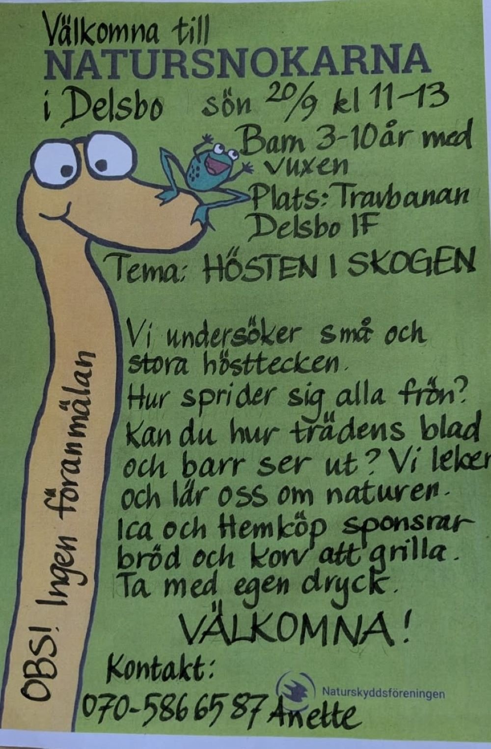 Affisch Natursnokarna i Delsbo Affisch Natursnokarna i Delsbo