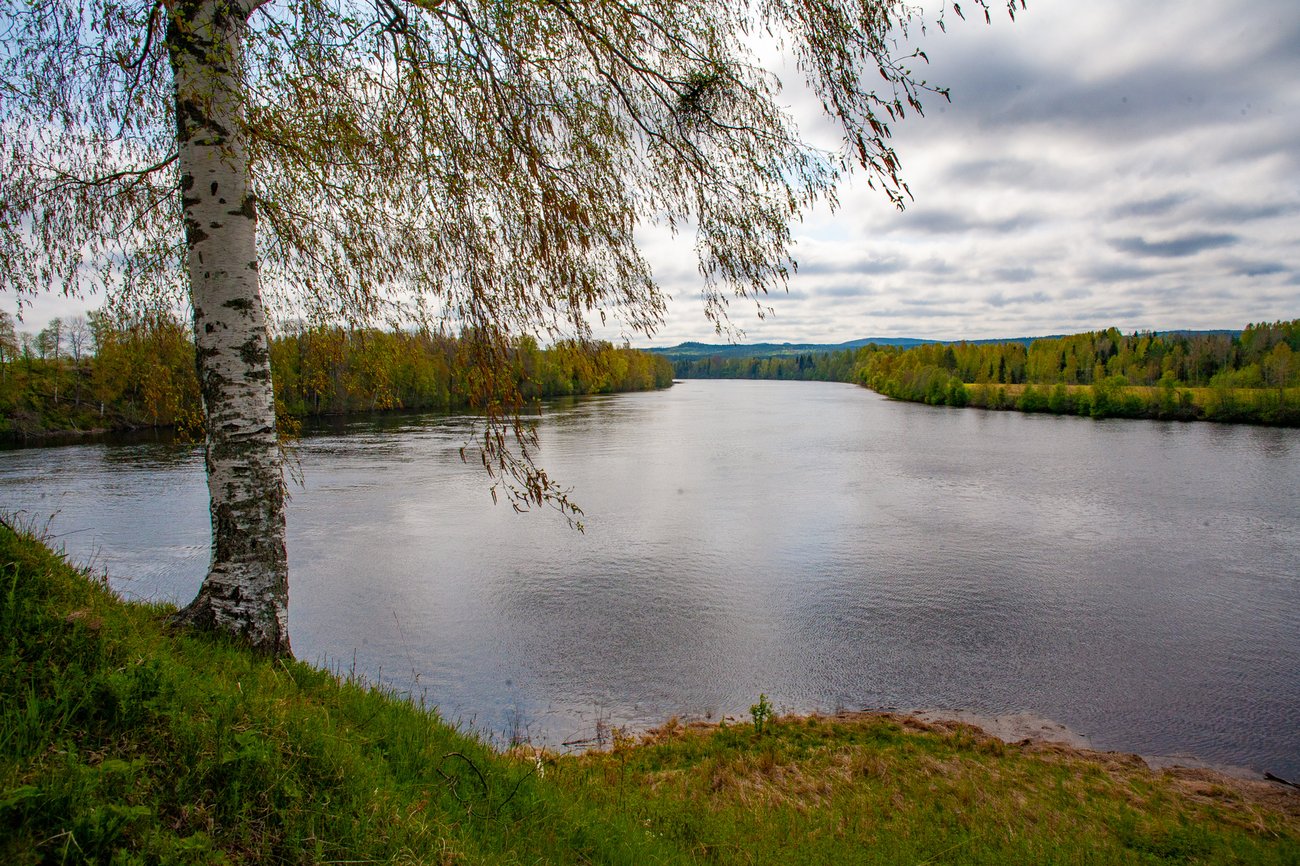 Älvmötet vid Djursås där två älvar blir en. Foto: Håkan Bergstedt, Mostphotos Älvmötet vid Djursås där två älvar blir en. Foto: Håkan Bergstedt, Mostphotos
