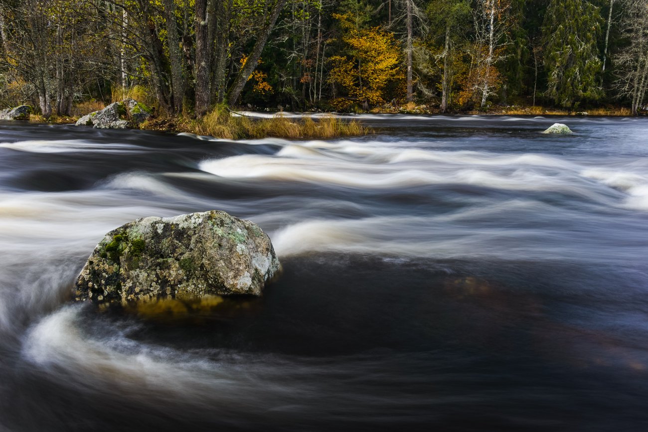 Sten i forsarna i Gysinge, foto: KEDARDOME, Mostphotos