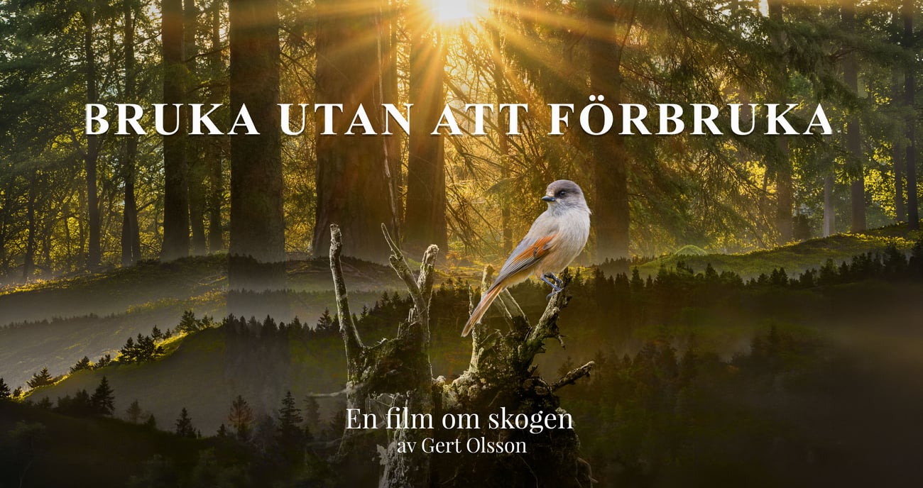 Bild till filmen "Bruka utan att förbruka", foto: Gert Olsson