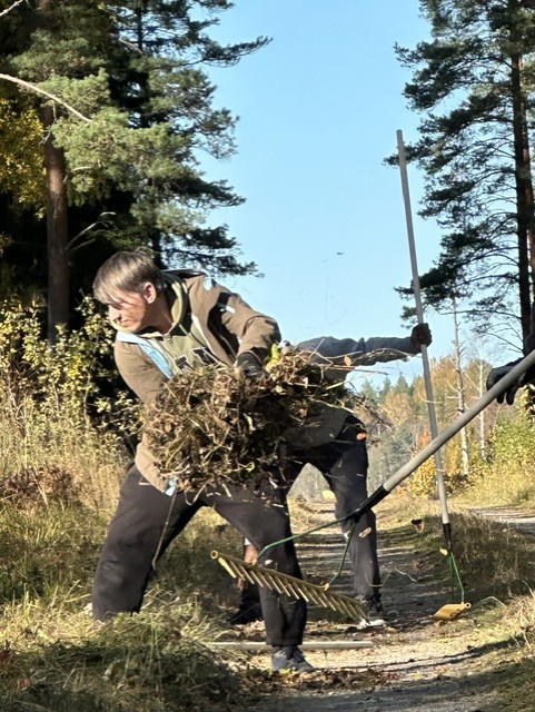 Räfsning vid Grinduga 2025, foto: Ulf Svahn