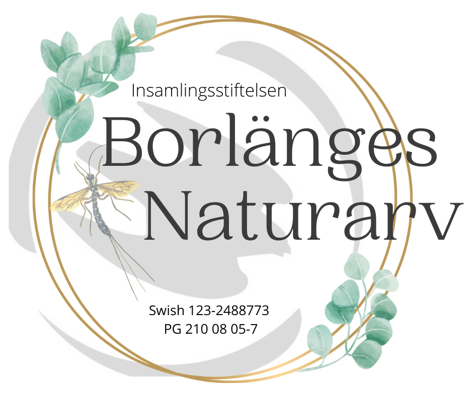 Borlänges naturarvs logga Borlänges naturarvs logga