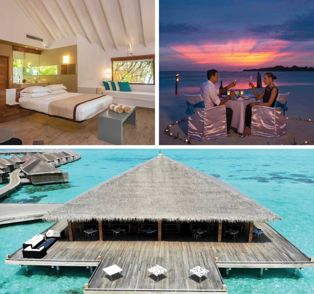 Premium Partner Cocoon Maldives Vibe
