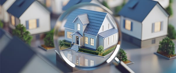 Welcome to our August newsletter