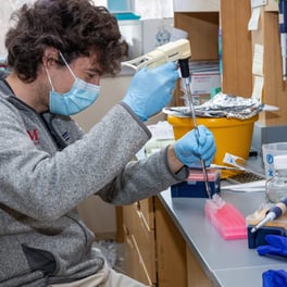 Investigador usando una pipeta en el banco de trabajo del laboratorio.