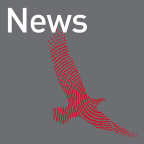 News logo