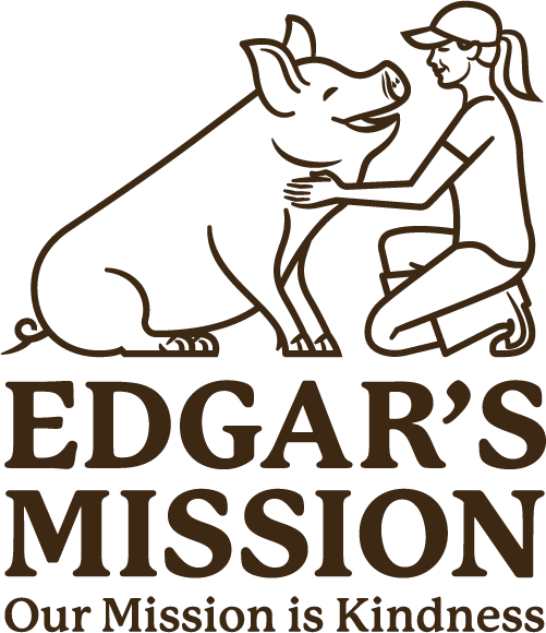 Edgar's Mission logo