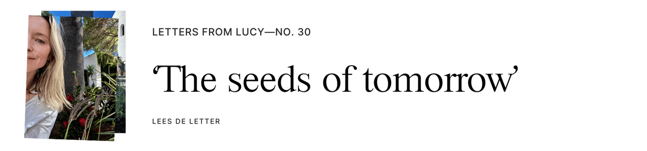 Letters from Lucy—No. 3