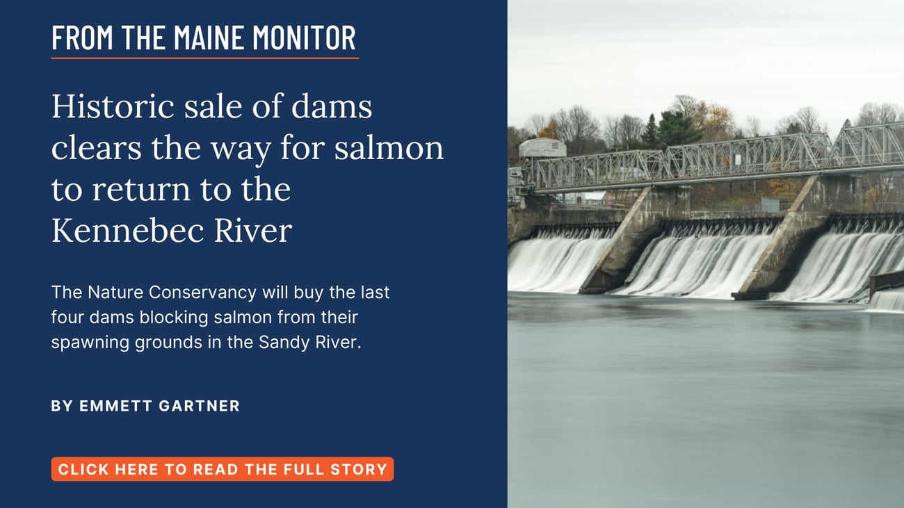 Historic sale of dams clears the way for salmon to return to the Kennebec River. The Nature Conservancy will buy the last four dams blocking salmon from their spawning grounds in the Sandy River. Read this Maine Monitor story by Emmett Gartner.