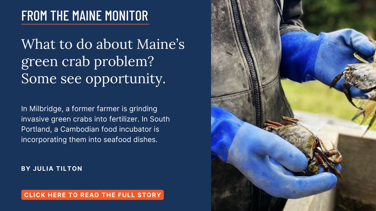 What to do about Maine’s green crab problem? Some see opportunity. In Milbridge, a former farmer is grinding invasive green crabs into fertilizer. In South Portland, a Cambodian food incubator is incorporating them into seafood dishes. Read this Maine Monitor story by Julia Tilton.