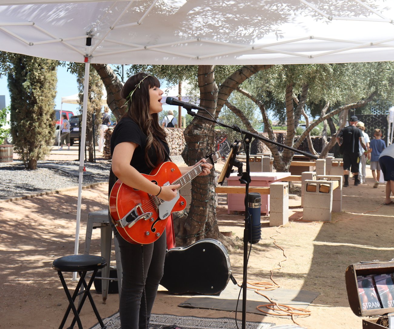 Live music from local musicians