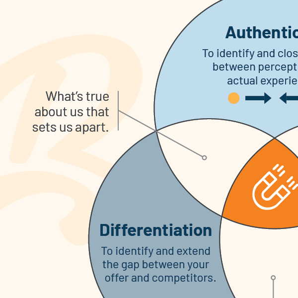 Belong Creative's strategic framework to create your Brand