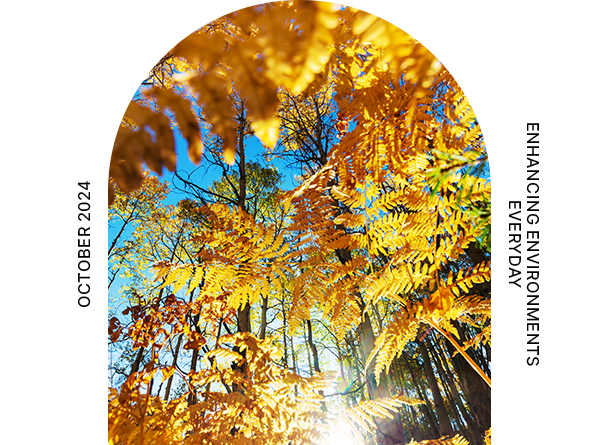 Enhancing Environments Everyday October 2024