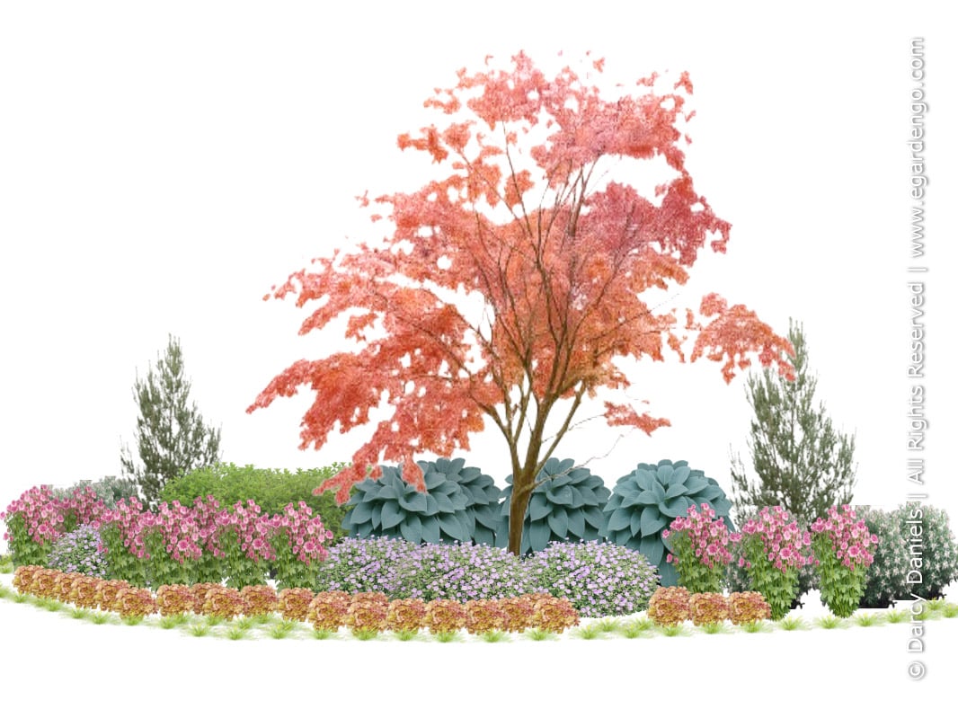 Plant Combo for Sun with Fab Foliage and Summer Flowers