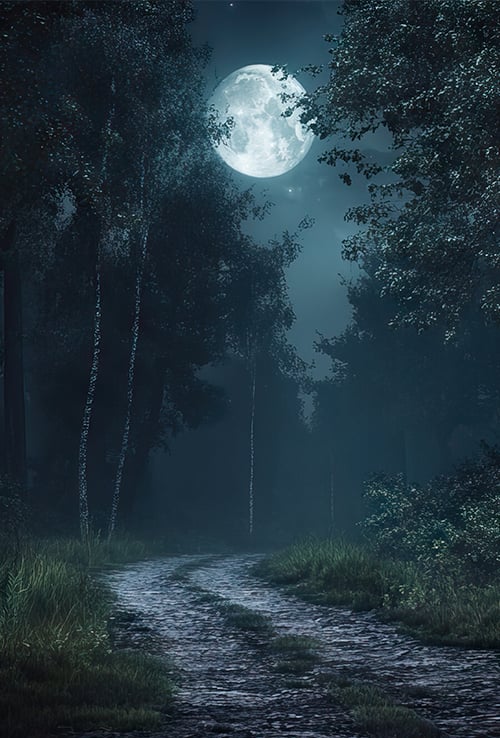 Full moon over a night trail