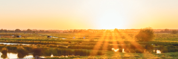 Nieuwsbrief De Groene Motor