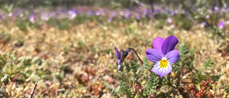 Deel jouw foto's en verhalen