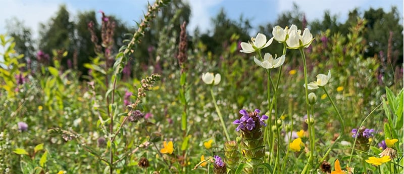 Inzicht in natuurkwaliteit bij jou in de buurt!