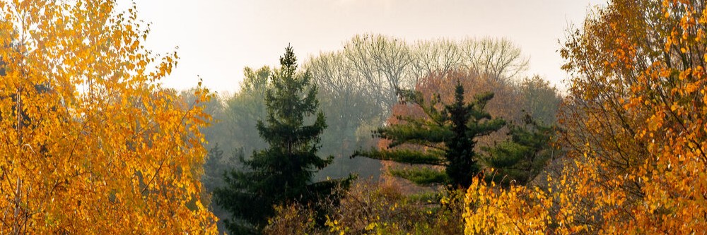 Nieuwsbrief De Groene Motor