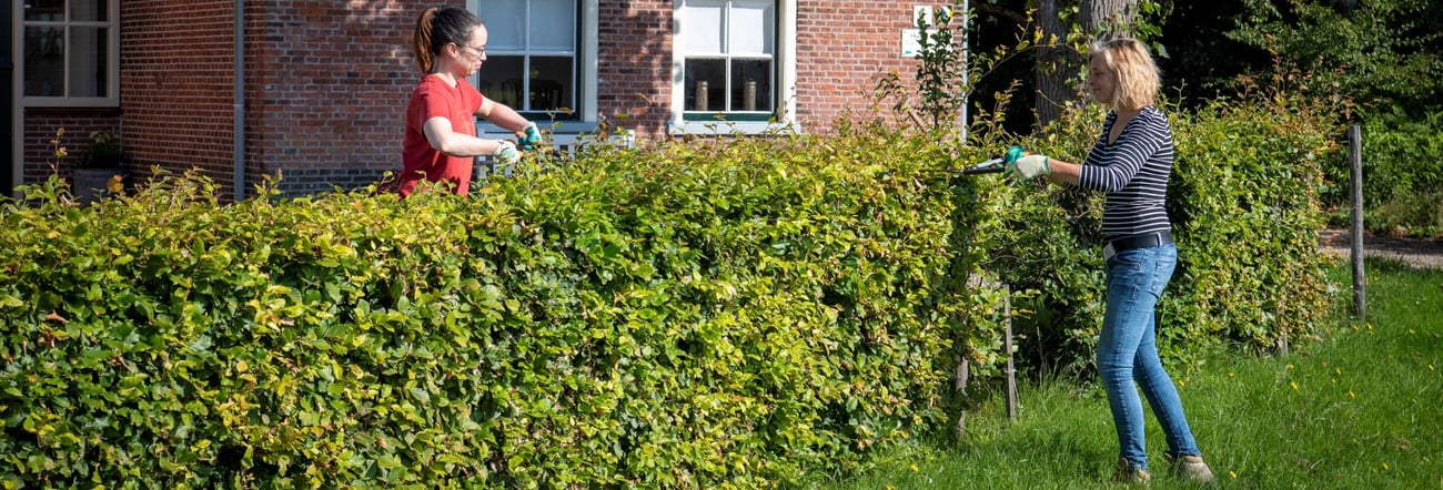 Cursus: Vrijwilliger in Historisch Groen