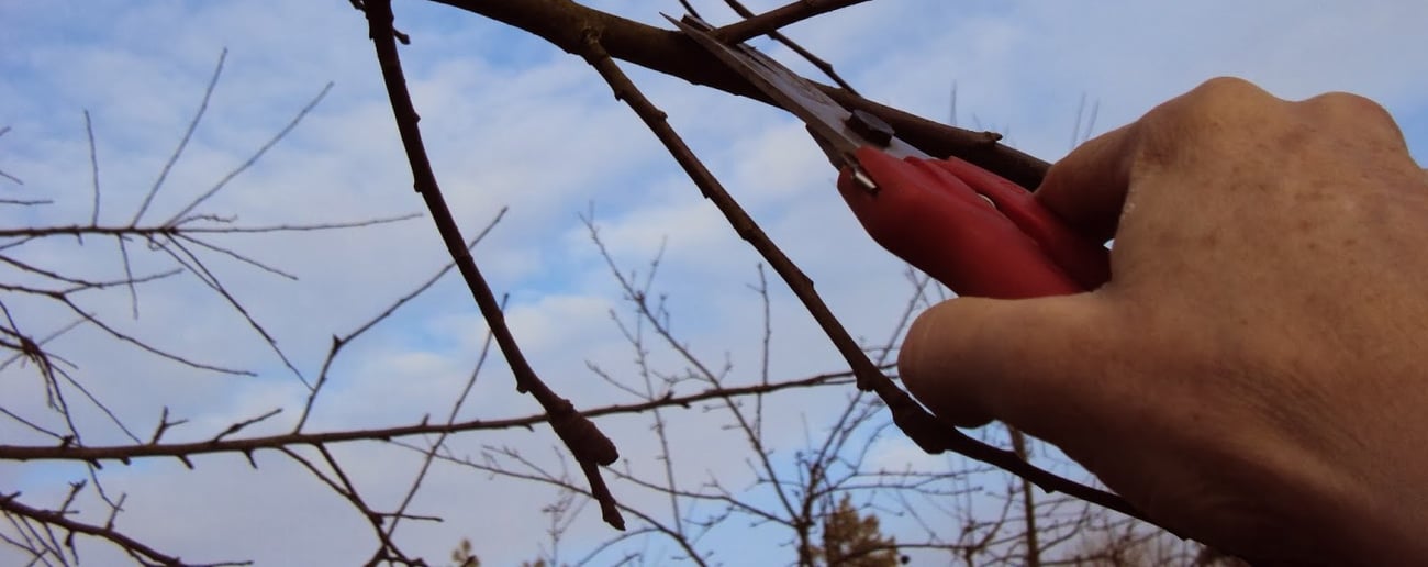 vrijwilligers gereedschapsuitleen