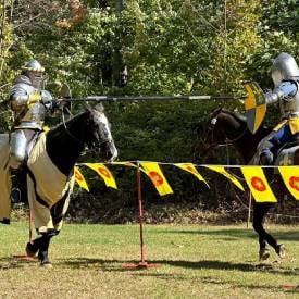 horses and knights at renaissance festival