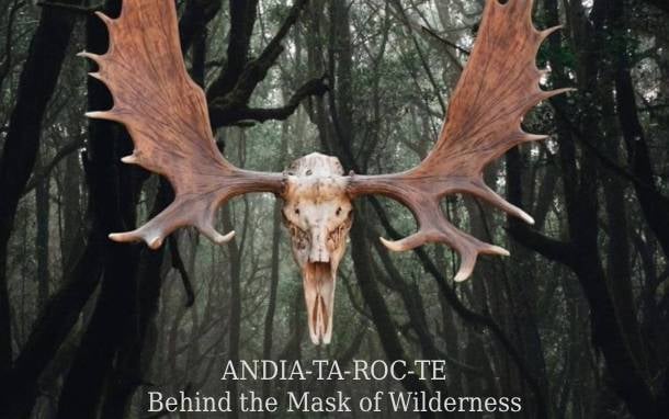 moose carcass in woods