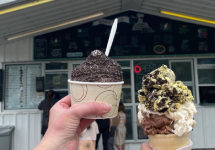 a person holding up an ice cream dish a person holding up an ice cream dish