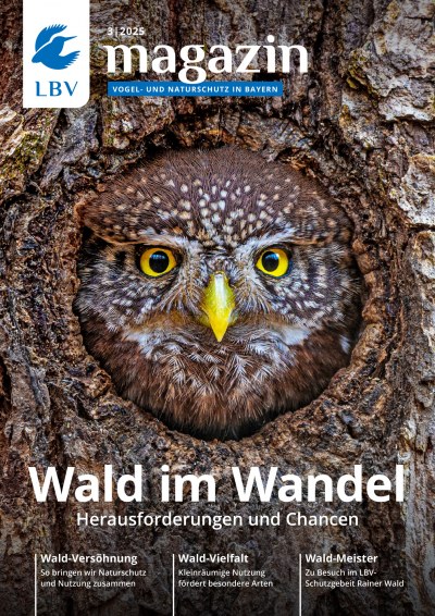 Cover des LBV Magazins