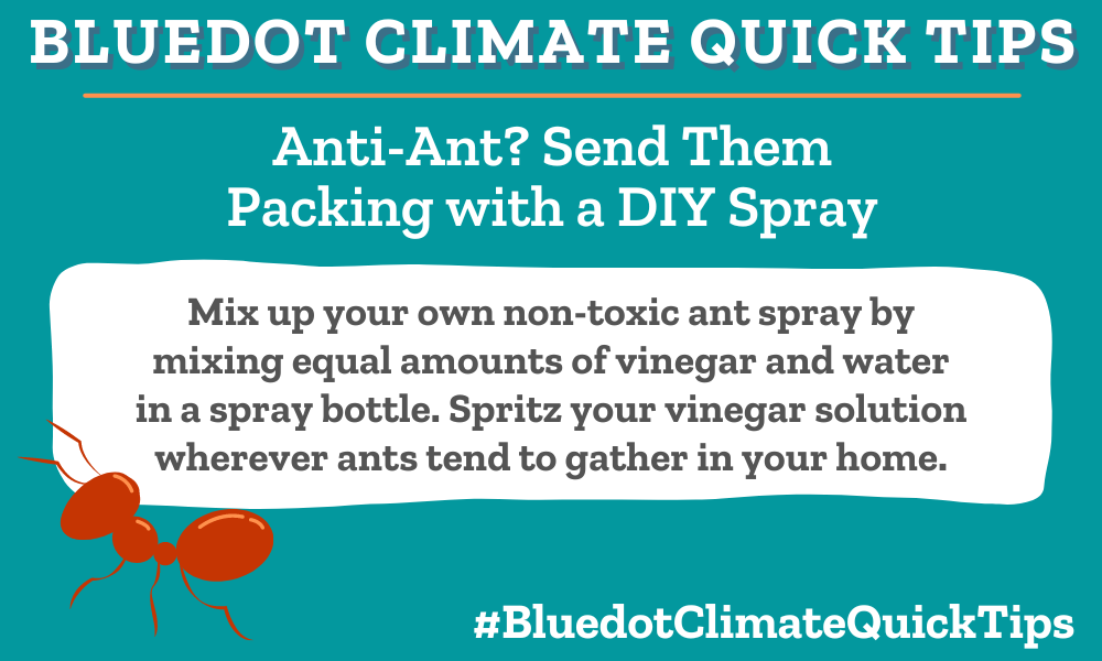 Climate Quick Tips
