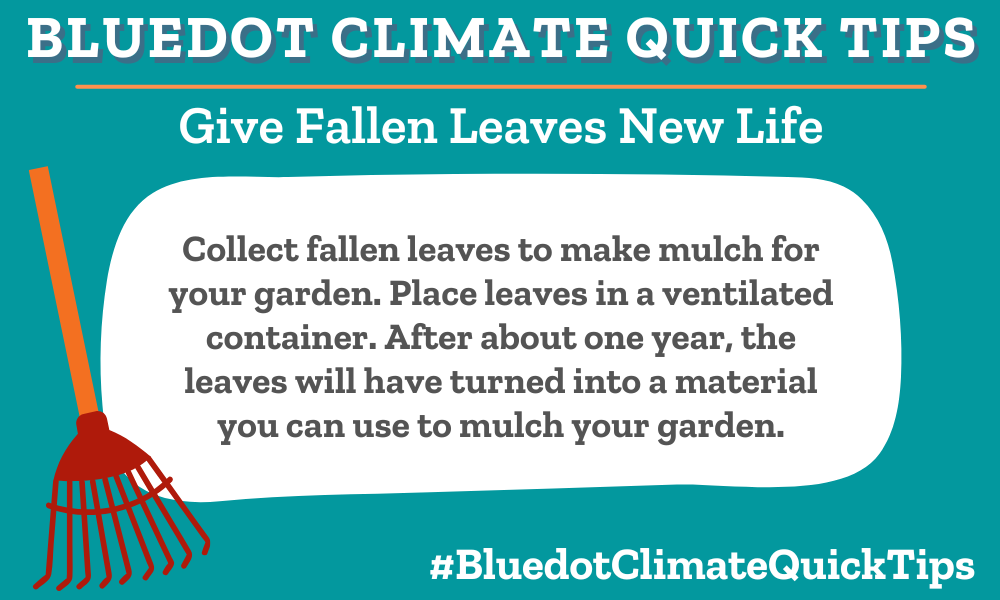 Climate Quick Tip