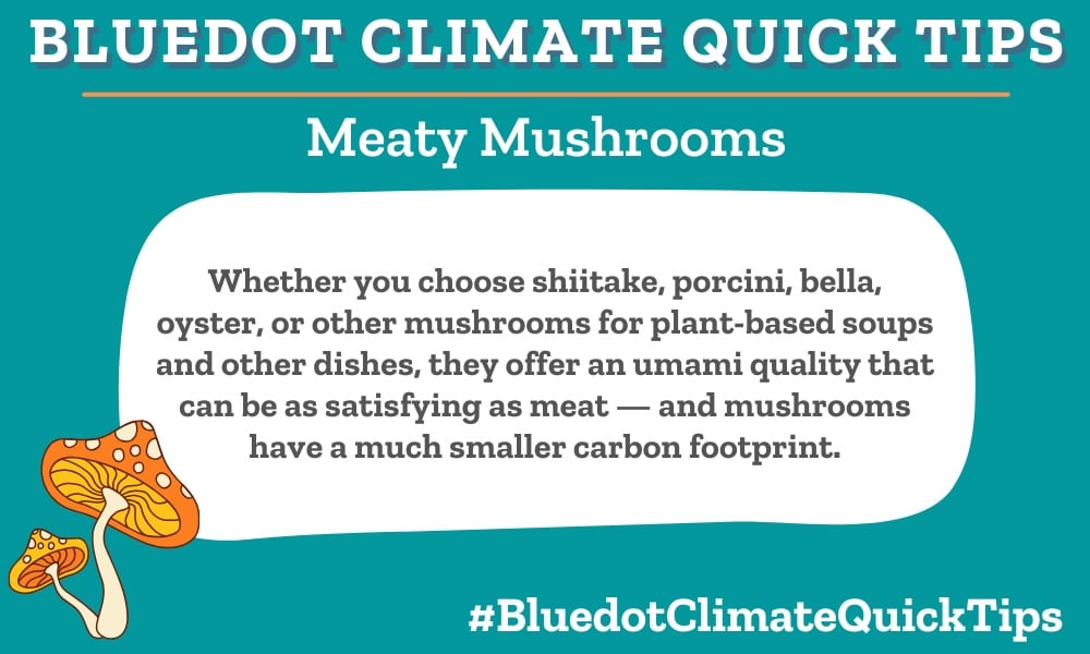 Climate Quick Tips