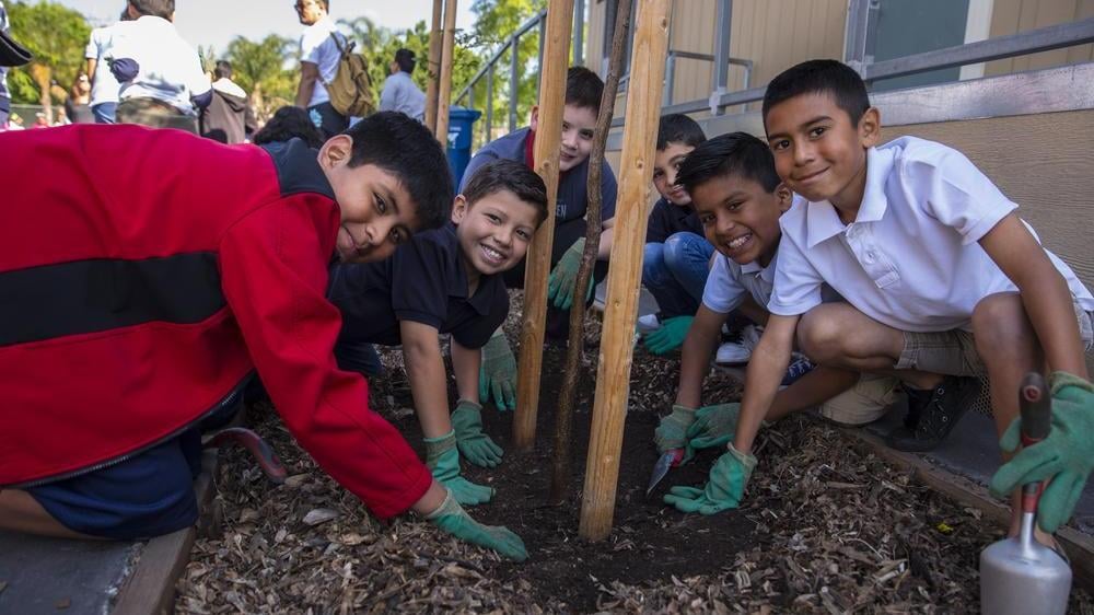 kids planting the tree kids planting the tree