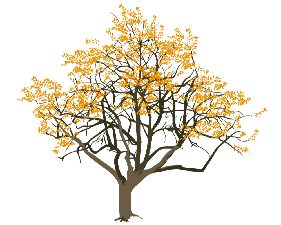 tree illustration