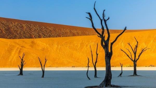 Deadvlei in Namibia
